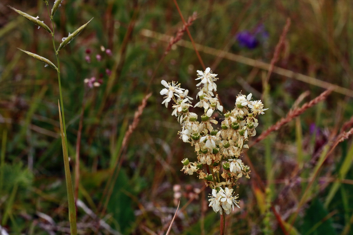 IMG-2015-06-26-00005872p_Bildgr��e �ndern