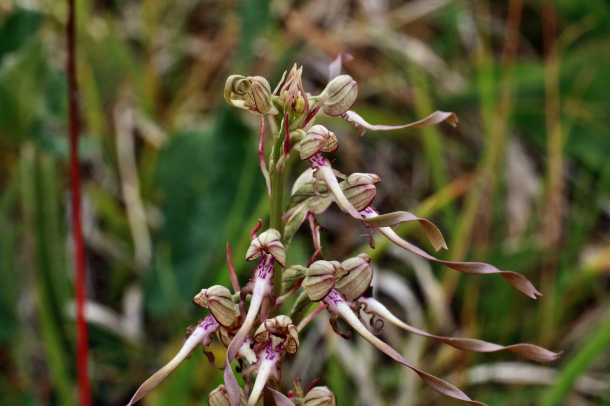 IMG-2015-06-26-00005874p_Bildgr��e �ndern