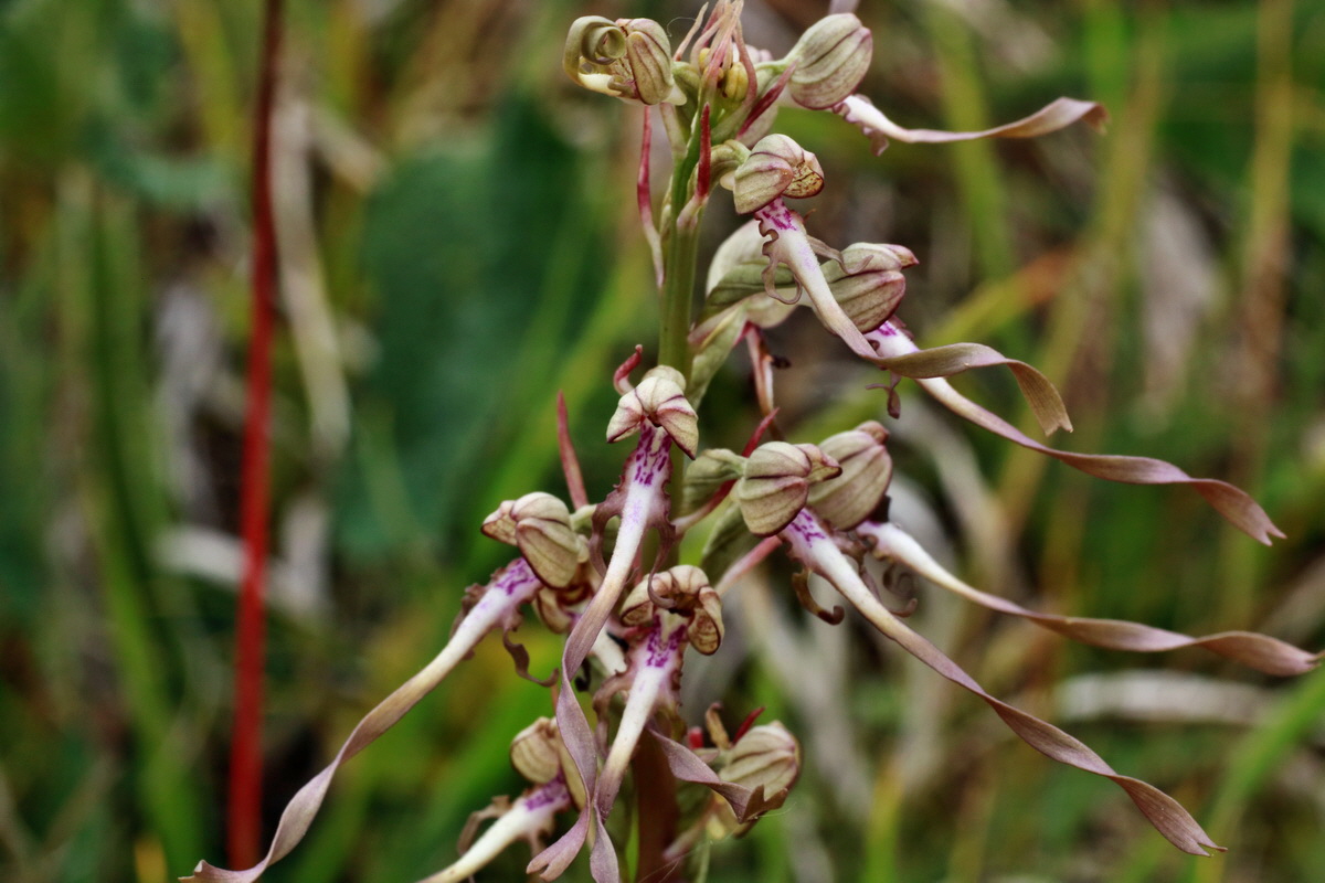 IMG-2015-06-26-00005877p_Bildgr��e �ndern