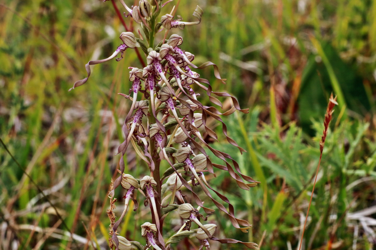 IMG-2015-06-26-00005879p_Bildgr��e �ndern