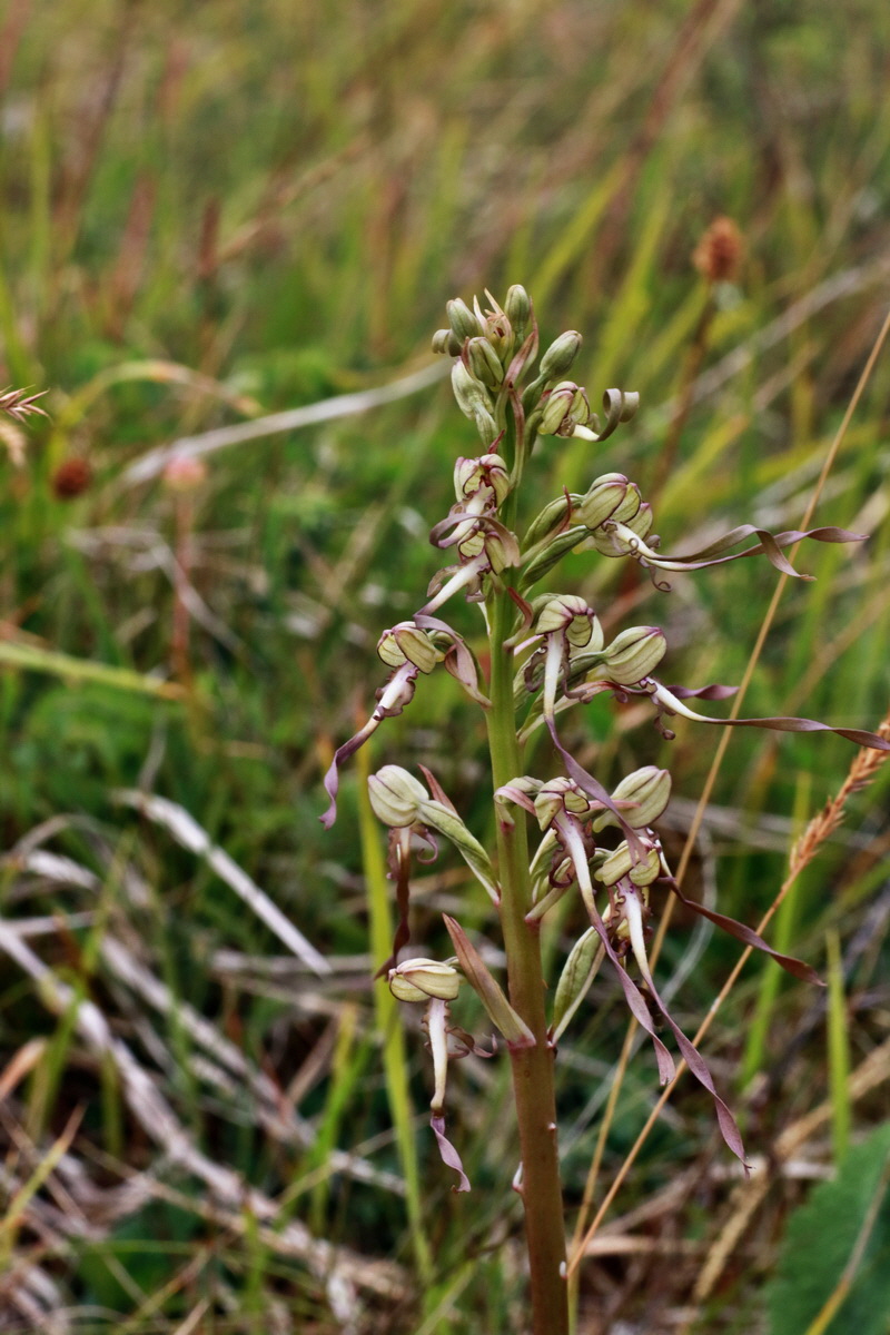 IMG-2015-06-26-00005887p_Bildgr��e �ndern