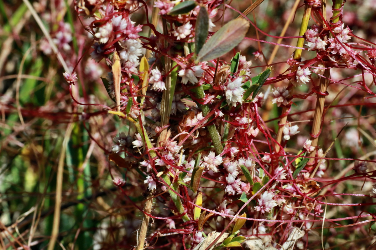 IMG-2015-06-28-00005901p_Bildgr��e �ndern