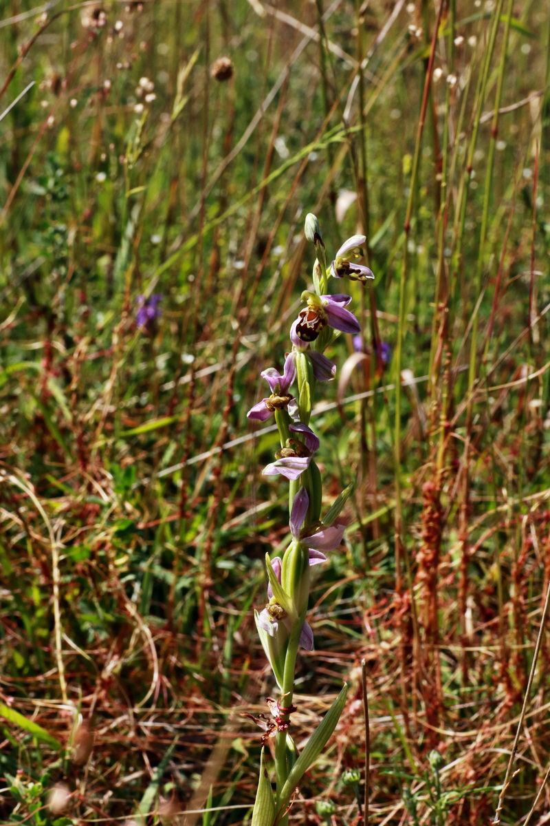 IMG-2015-06-28-00005903p_Bildgr��e �ndern