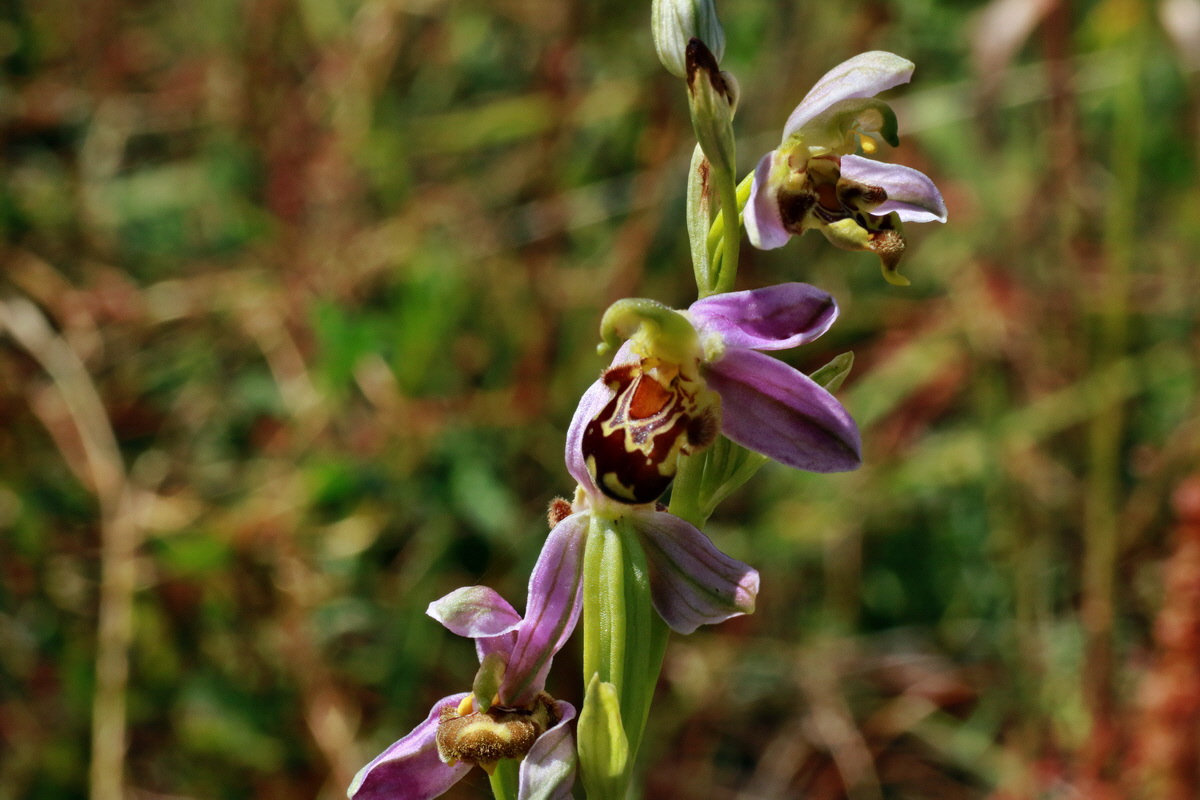 IMG-2015-06-28-00005907p_Bildgr��e �ndern