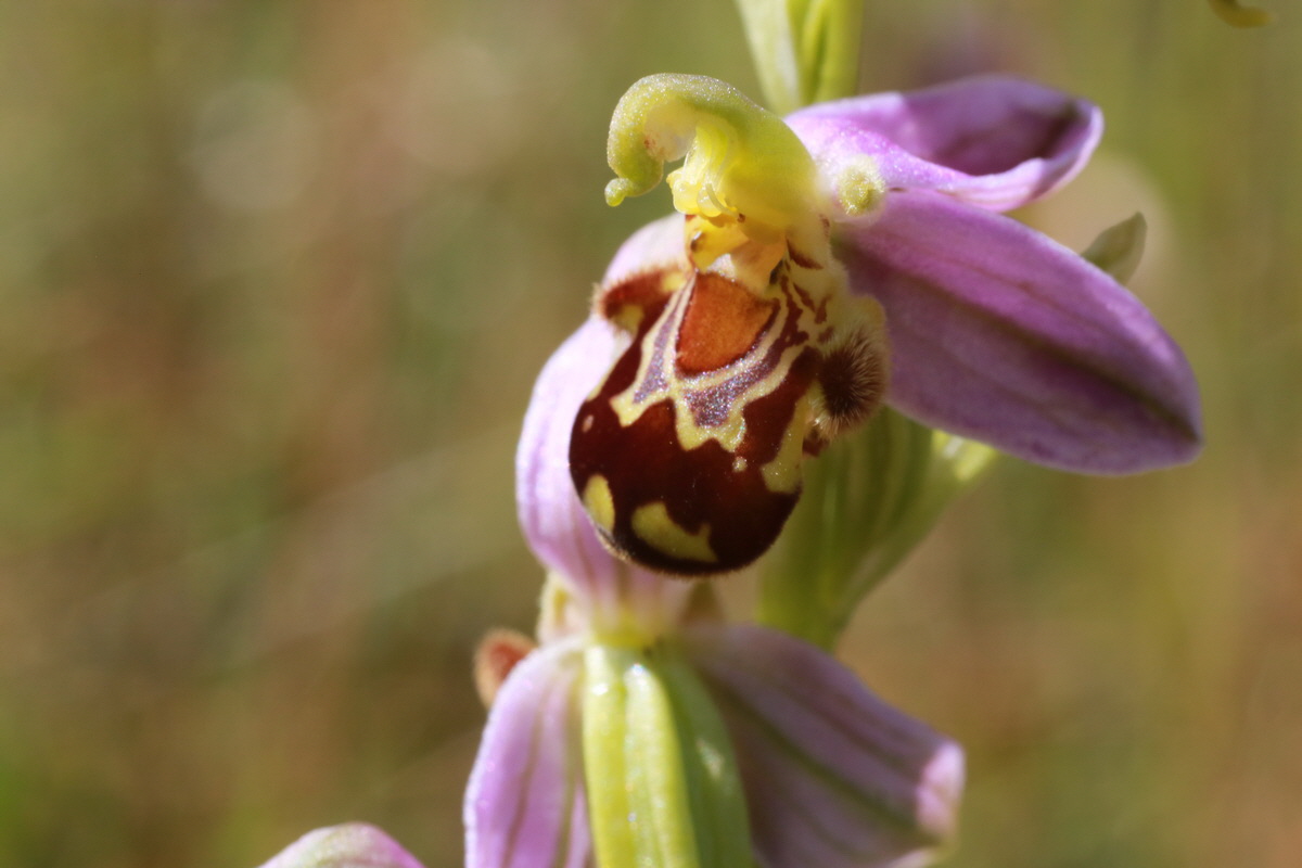 IMG-2015-06-28-00005908_Bildgr��e �ndern