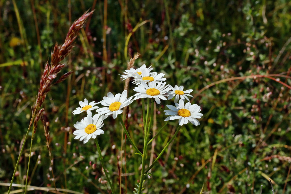 IMG-2015-06-28-00005914p_Bildgr��e �ndern