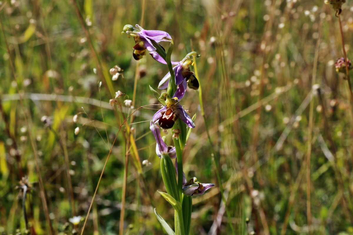 IMG-2015-06-28-00005919p_Bildgr��e �ndern