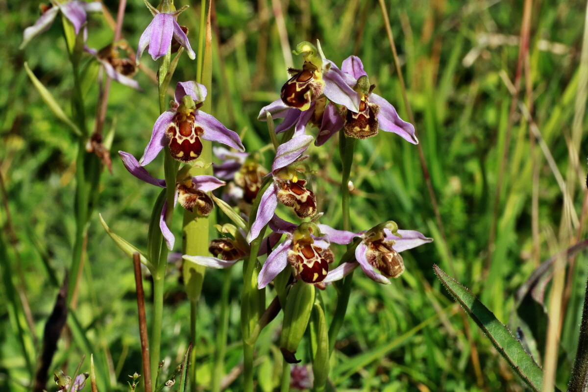 IMG-2015-06-28-00005932p_Bildgr��e �ndern