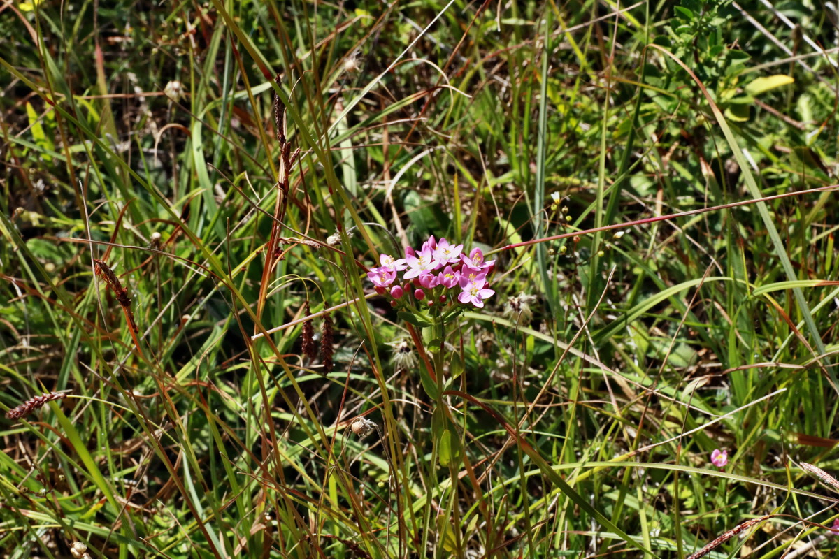 IMG-2015-06-28-00005935p_Bildgr��e �ndern