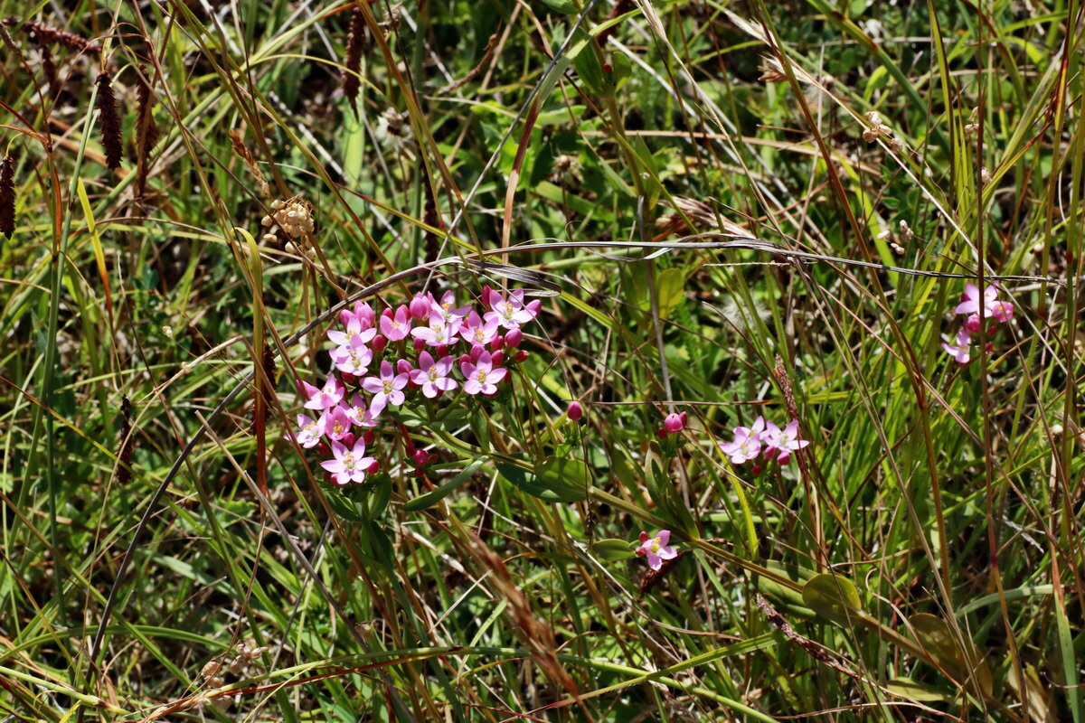 IMG-2015-06-28-00005938p_Bildgr��e �ndern