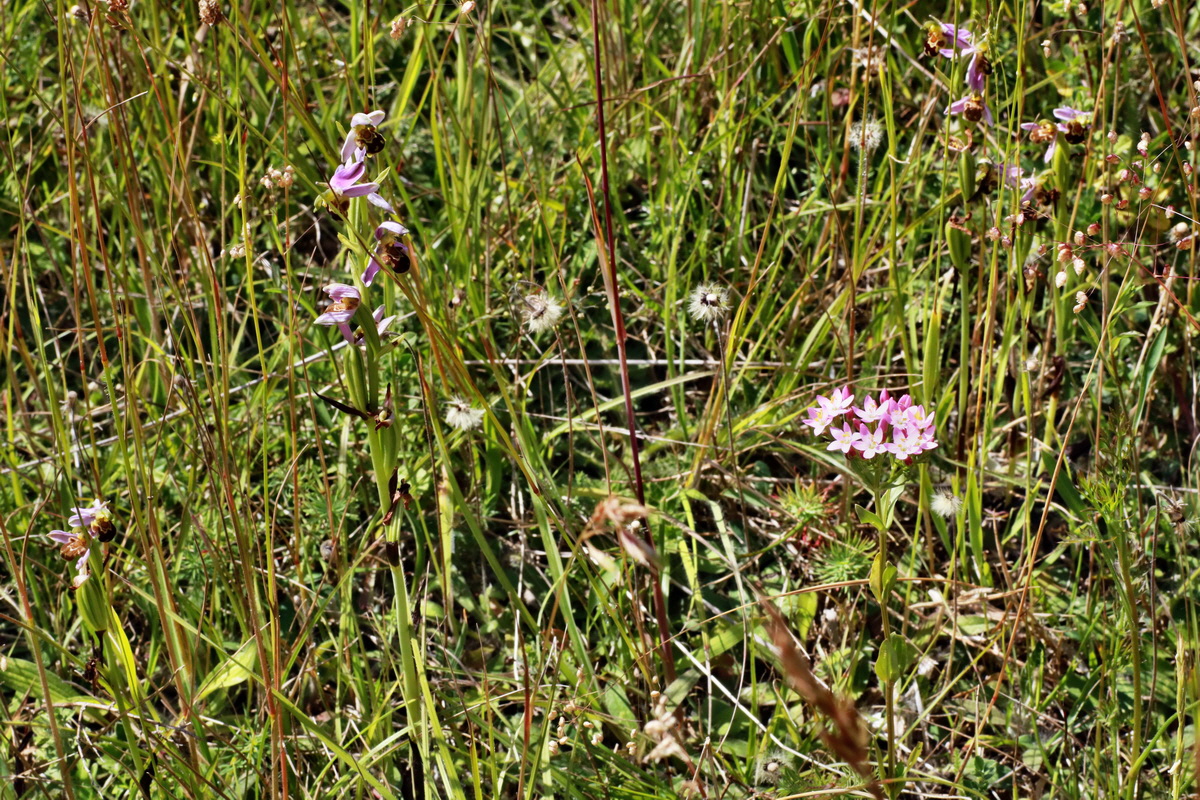 IMG-2015-06-28-00005940p_Bildgr��e �ndern