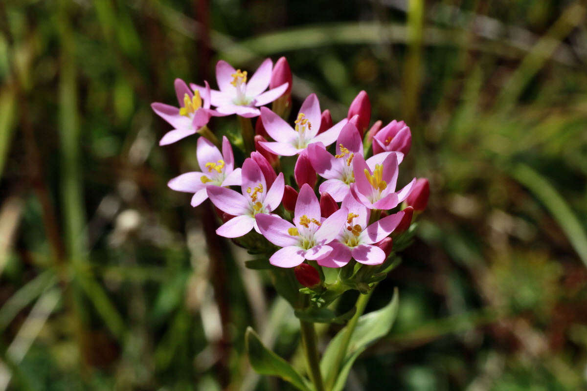 IMG-2015-06-28-00005942p_Bildgr��e �ndern