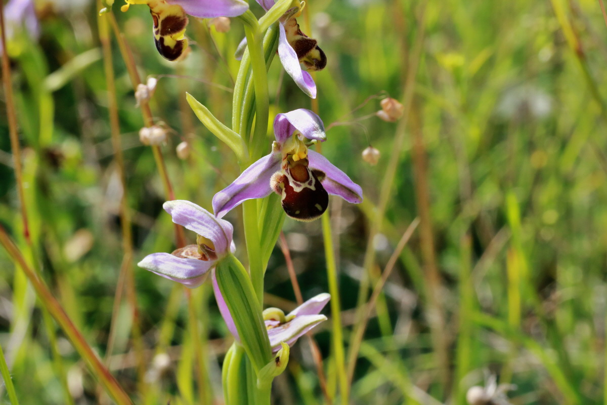 IMG-2015-06-28-00005945p_Bildgr��e �ndern