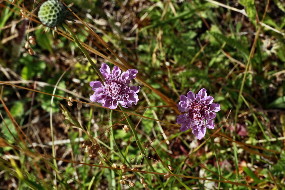 IMG-2015-06-28-00005948p_Bildgr��e �ndern