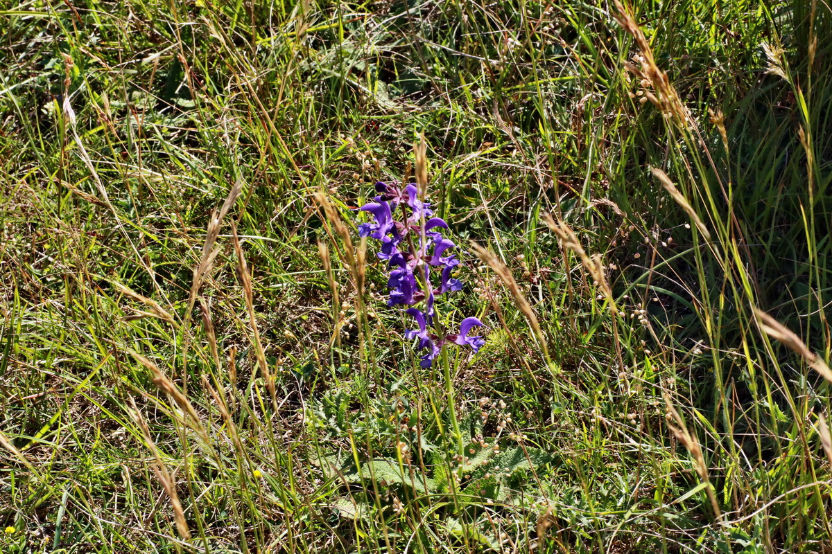 IMG-2015-06-28-00005950p_Bildgr��e �ndern