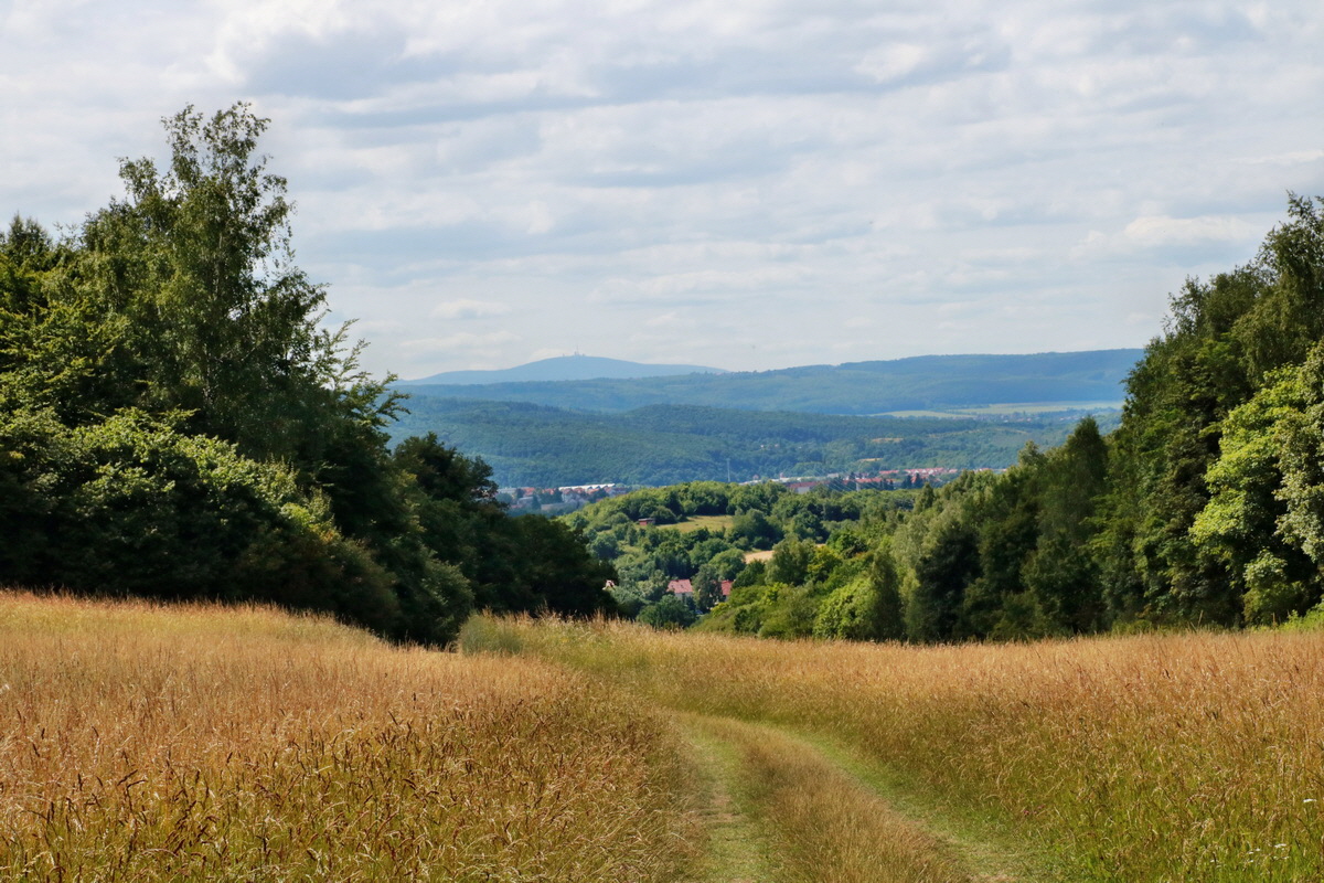 IMG-2015-06-28-00005978p_Bildgr��e �ndern