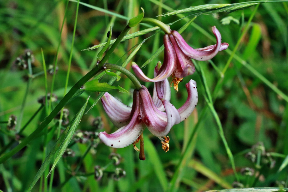 IMG-2015-06-28-00005991p_Bildgr��e �ndern