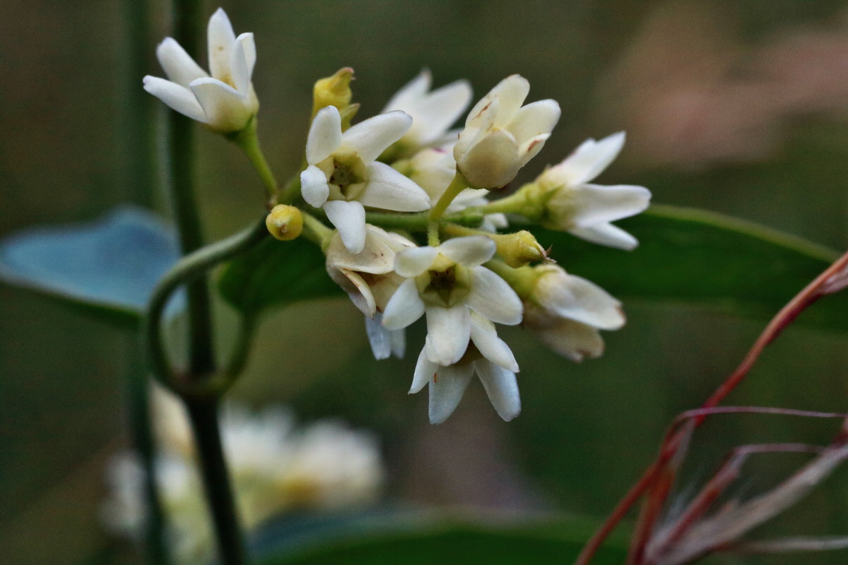 IMG-2015-06-28-00006001p_Bildgr��e �ndern