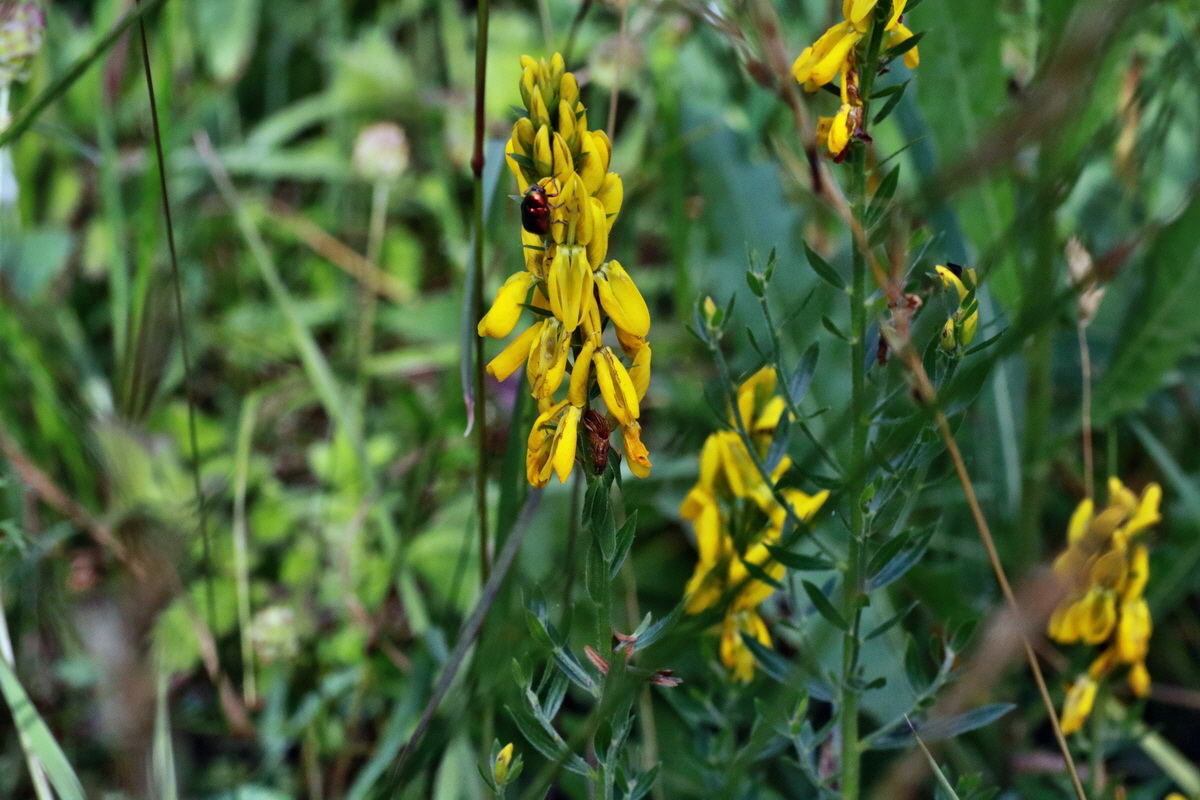 IMG-2015-06-28-00006006p_Bildgr��e �ndern