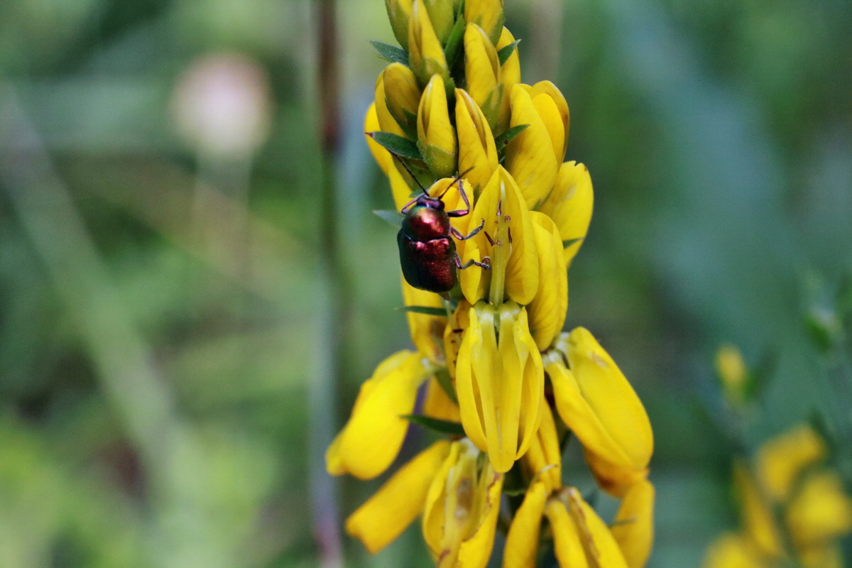 IMG-2015-06-28-00006008p_Bildgr��e �ndern