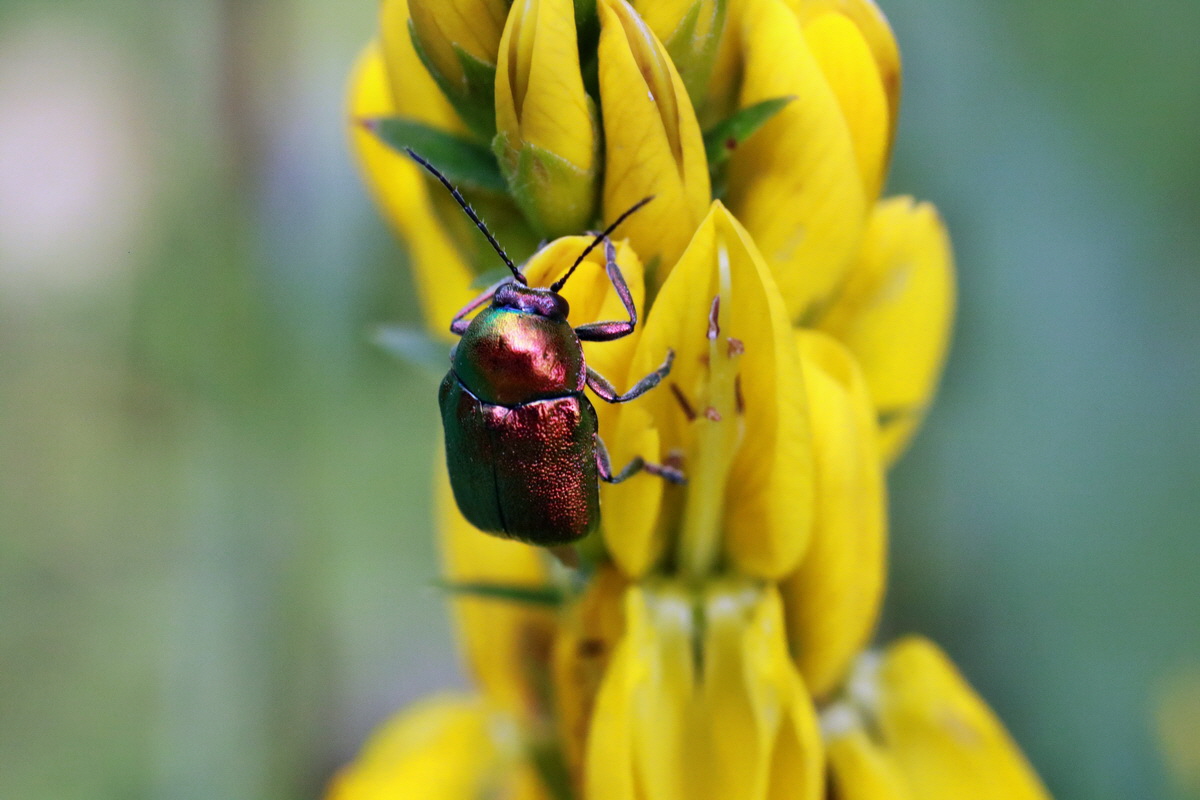 IMG-2015-06-28-00006017p_Bildgr��e �ndern