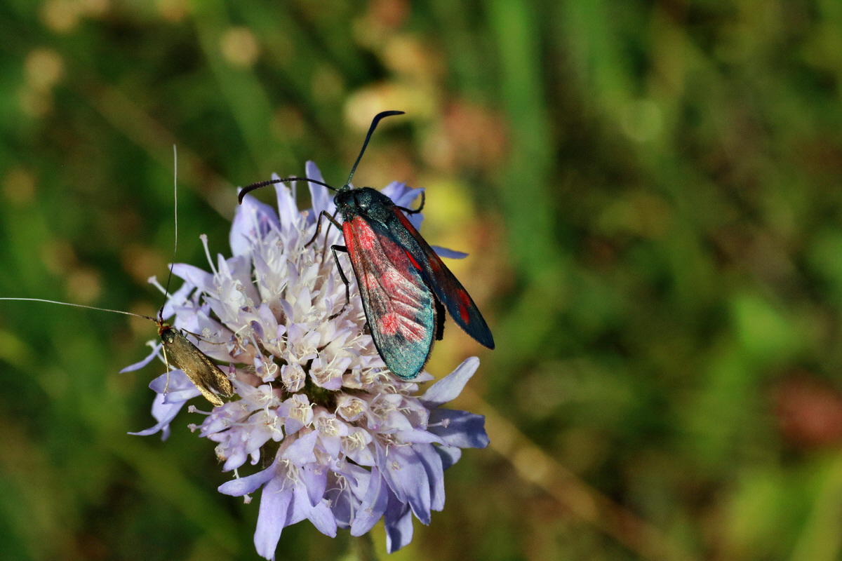 IMG-2015-06-28-00006023p_Bildgr��e �ndern