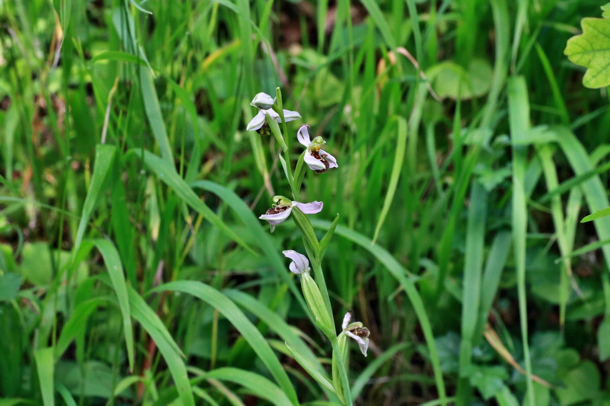 IMG-2015-06-28-00006028p_Bildgr��e �ndern