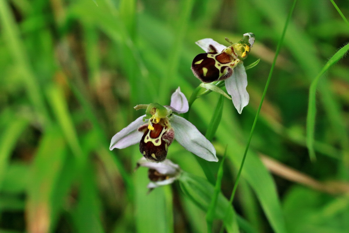 IMG-2015-06-28-00006033p_Bildgr��e �ndern