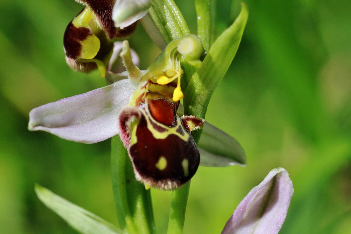 IMG-2015-06-28-00006036p_Bildgr��e �ndern