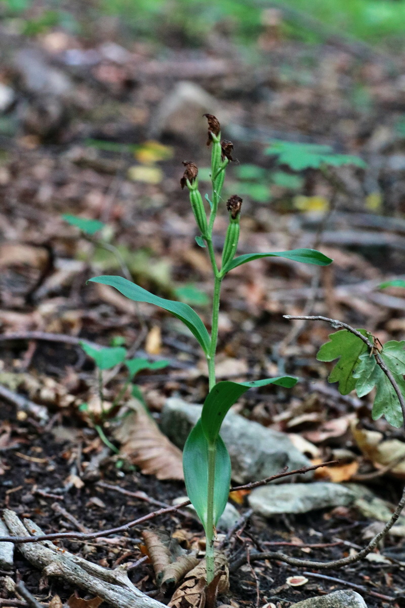 IMG-2015-06-28-00006041p_Bildgr��e �ndern