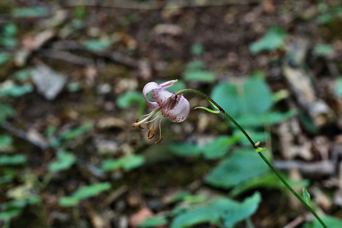 IMG-2015-06-28-00006055p_Bildgr��e �ndern