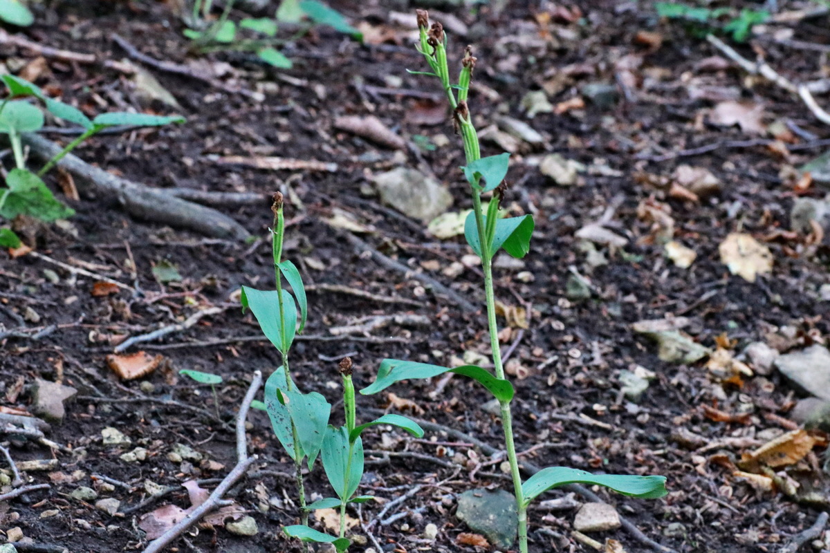 IMG-2015-06-28-00006060p_Bildgr��e �ndern