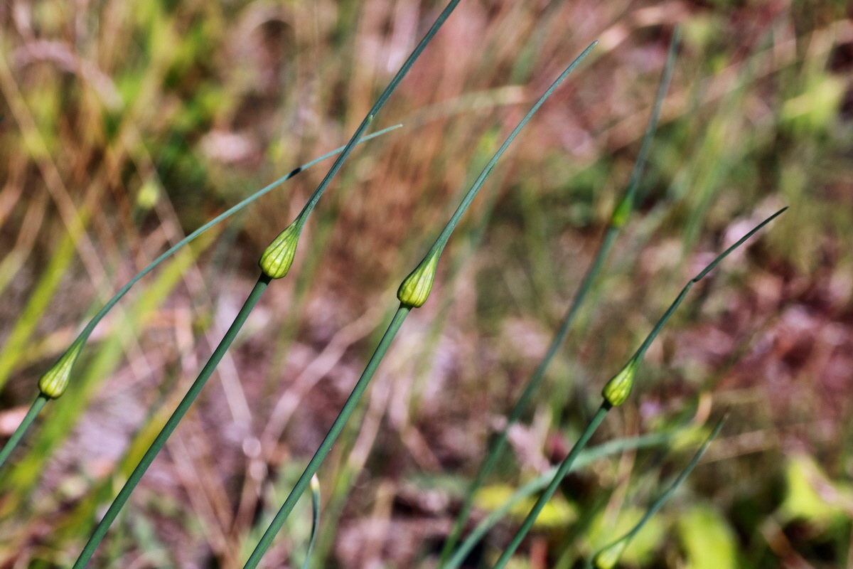 IMG-2015-06-28-00006088p_Bildgr��e �ndern