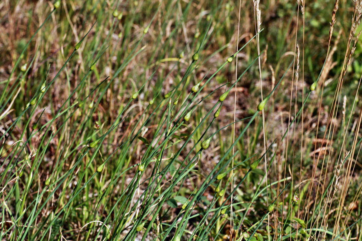 IMG-2015-06-28-00006092p_Bildgr��e �ndern