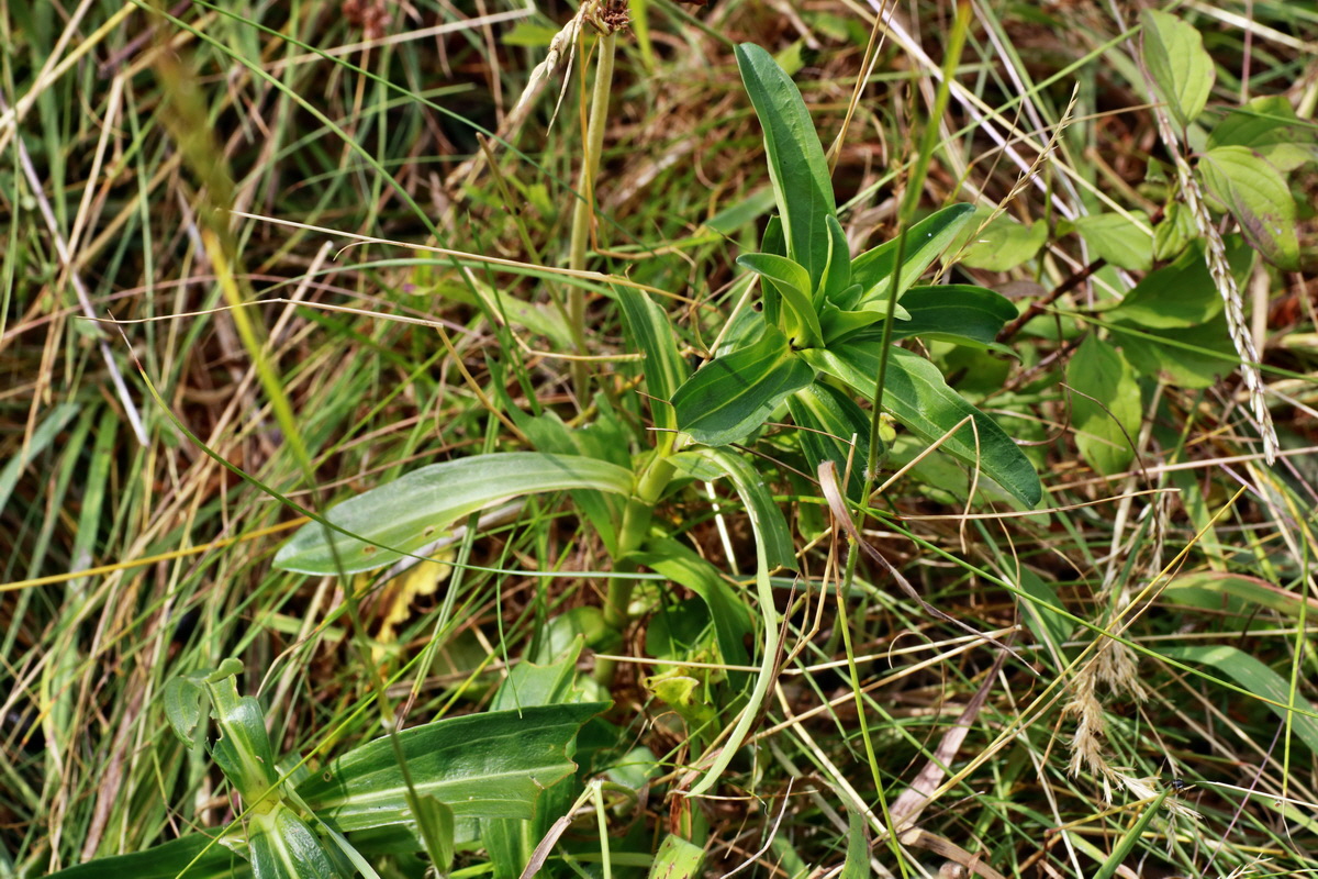 IMG-2015-06-29-00006097p_Bildgr��e �ndern