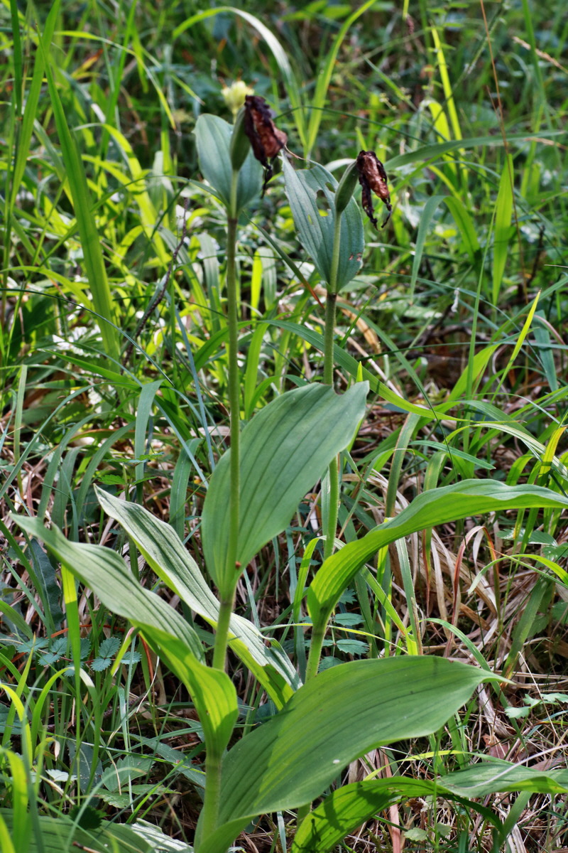 IMG-2015-06-29-00006112p_Bildgr��e �ndern