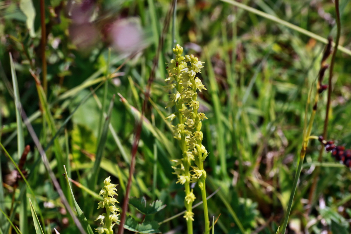 IMG-2015-06-29-00006116p_Bildgr��e �ndern