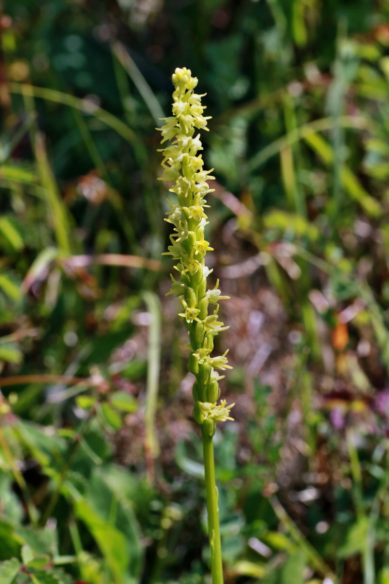 IMG-2015-06-29-00006117p_Bildgr��e �ndern