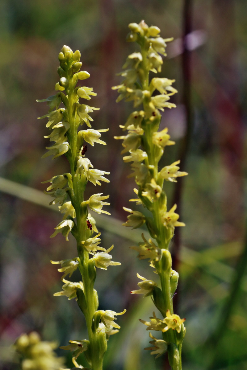 IMG-2015-06-29-00006120p_Bildgr��e �ndern