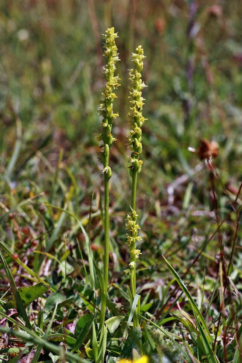 IMG-2015-06-29-00006125p_Bildgr��e �ndern