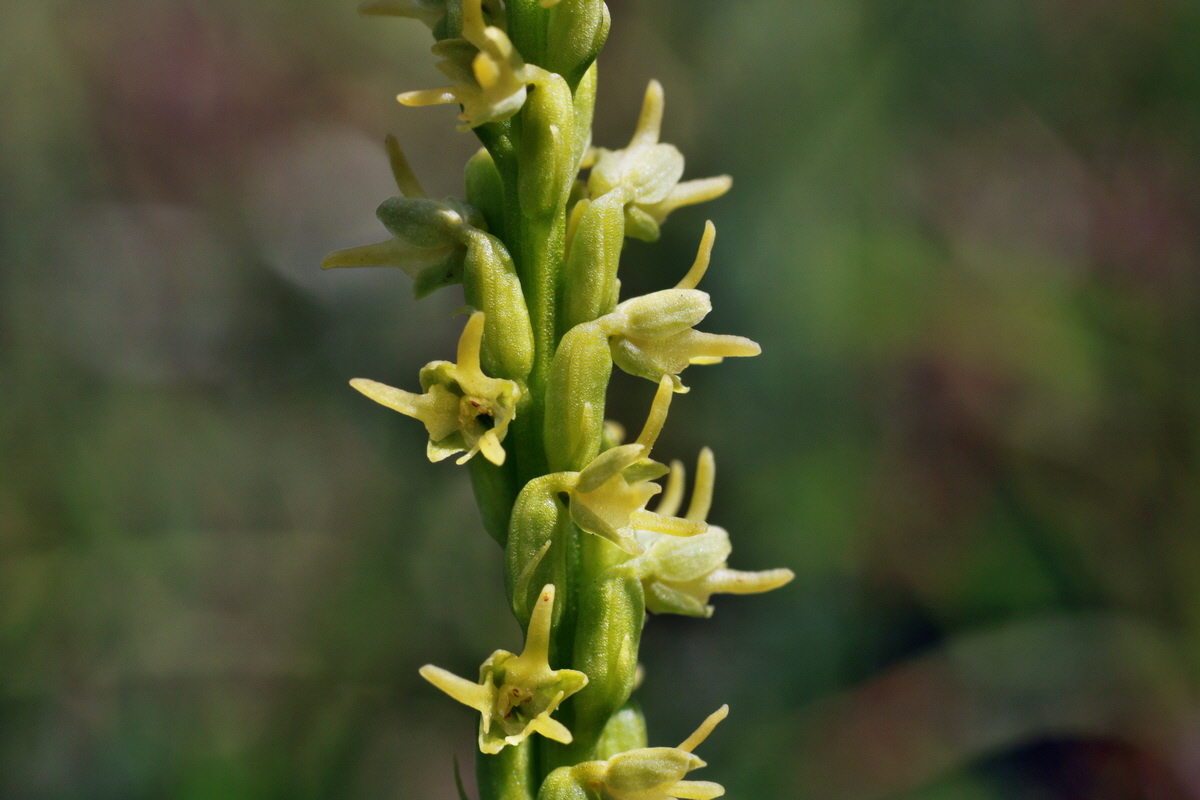 IMG-2015-06-29-00006133p_Bildgr��e �ndern