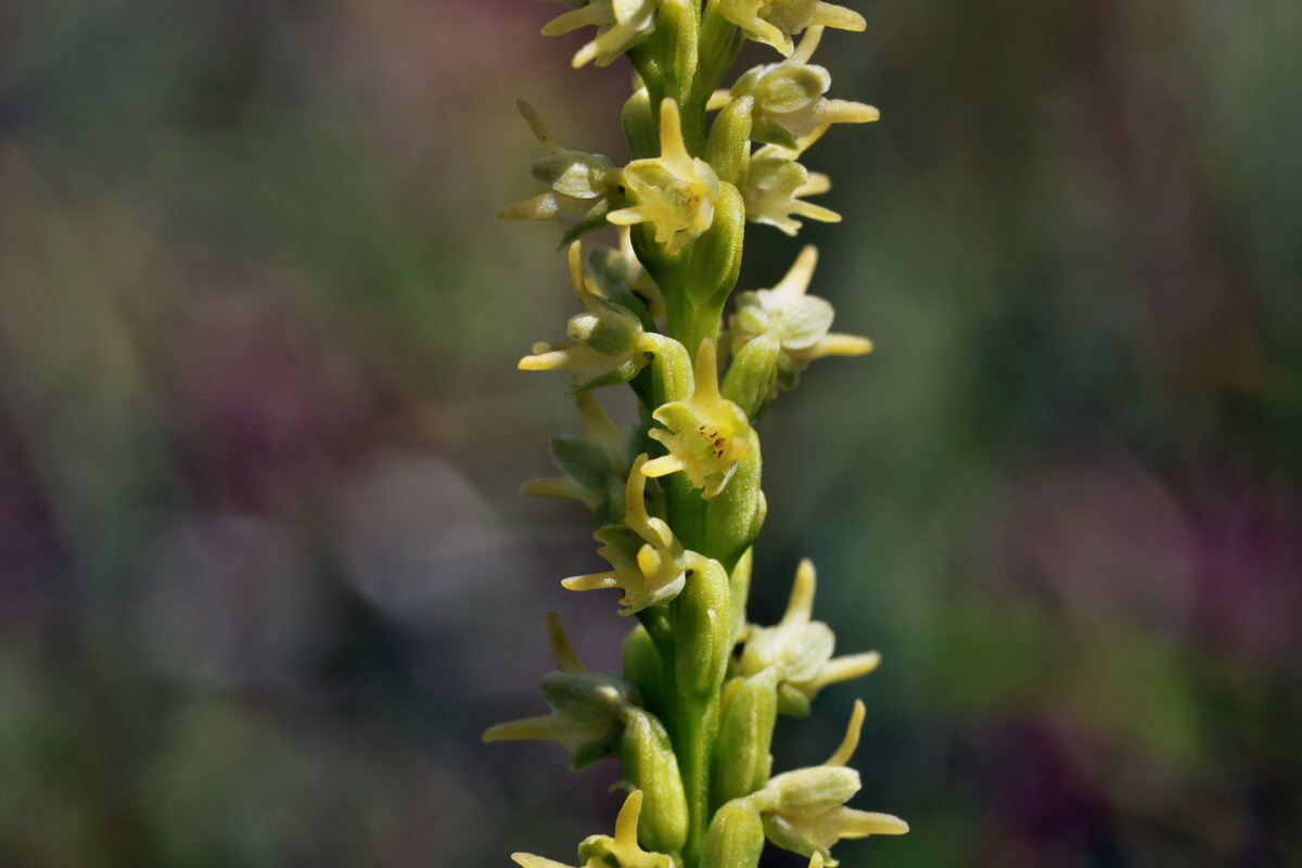 IMG-2015-06-29-00006138p_Bildgr��e �ndern