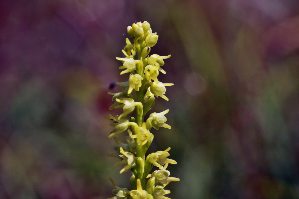 IMG-2015-06-29-00006141p_Bildgr��e �ndern