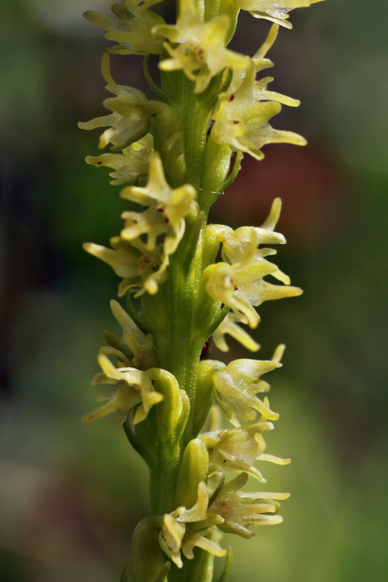 IMG-2015-06-29-00006144p_Bildgr��e �ndern