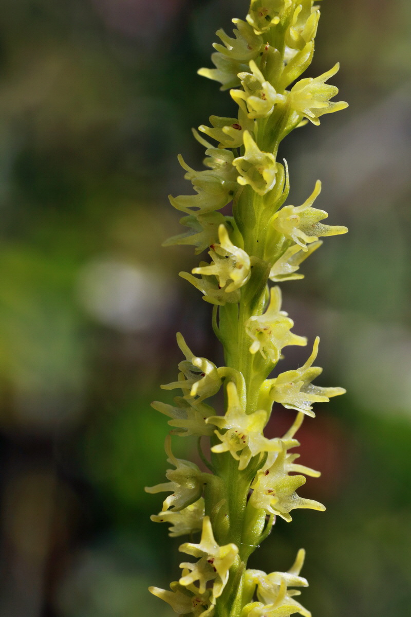 IMG-2015-06-29-00006146p_Bildgr��e �ndern