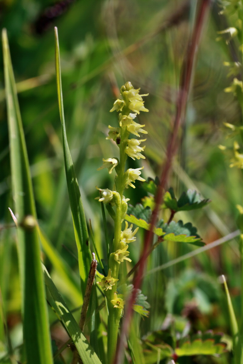 IMG-2015-06-29-00006151p_Bildgr��e �ndern