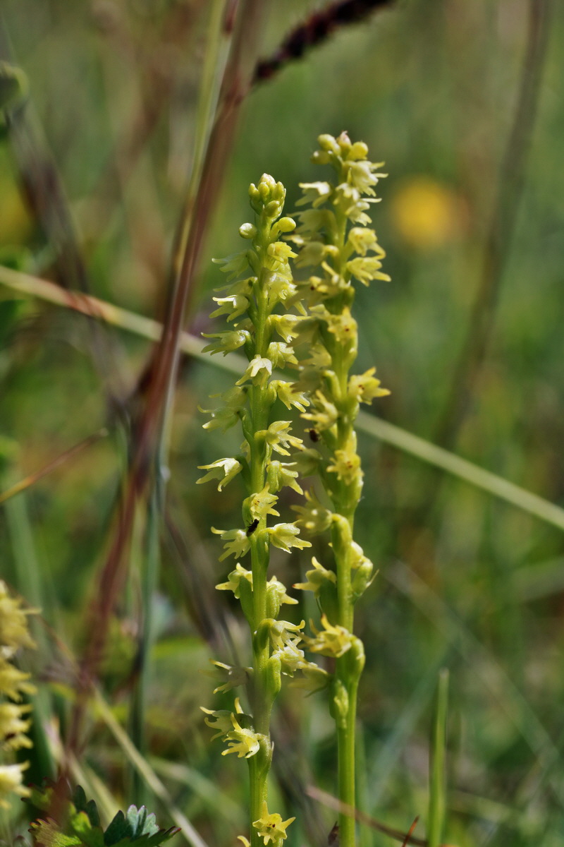 IMG-2015-06-29-00006153p_Bildgr��e �ndern