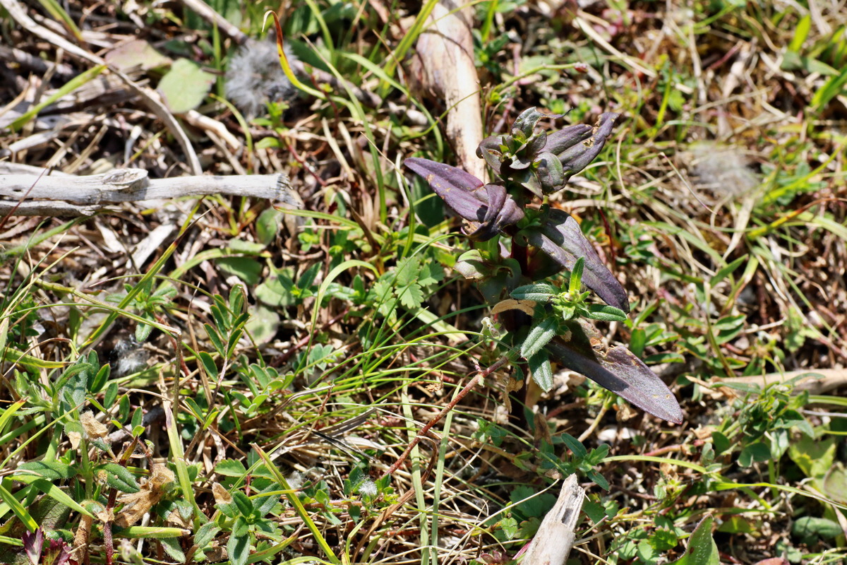 IMG-2015-06-29-00006157p_Bildgr��e �ndern