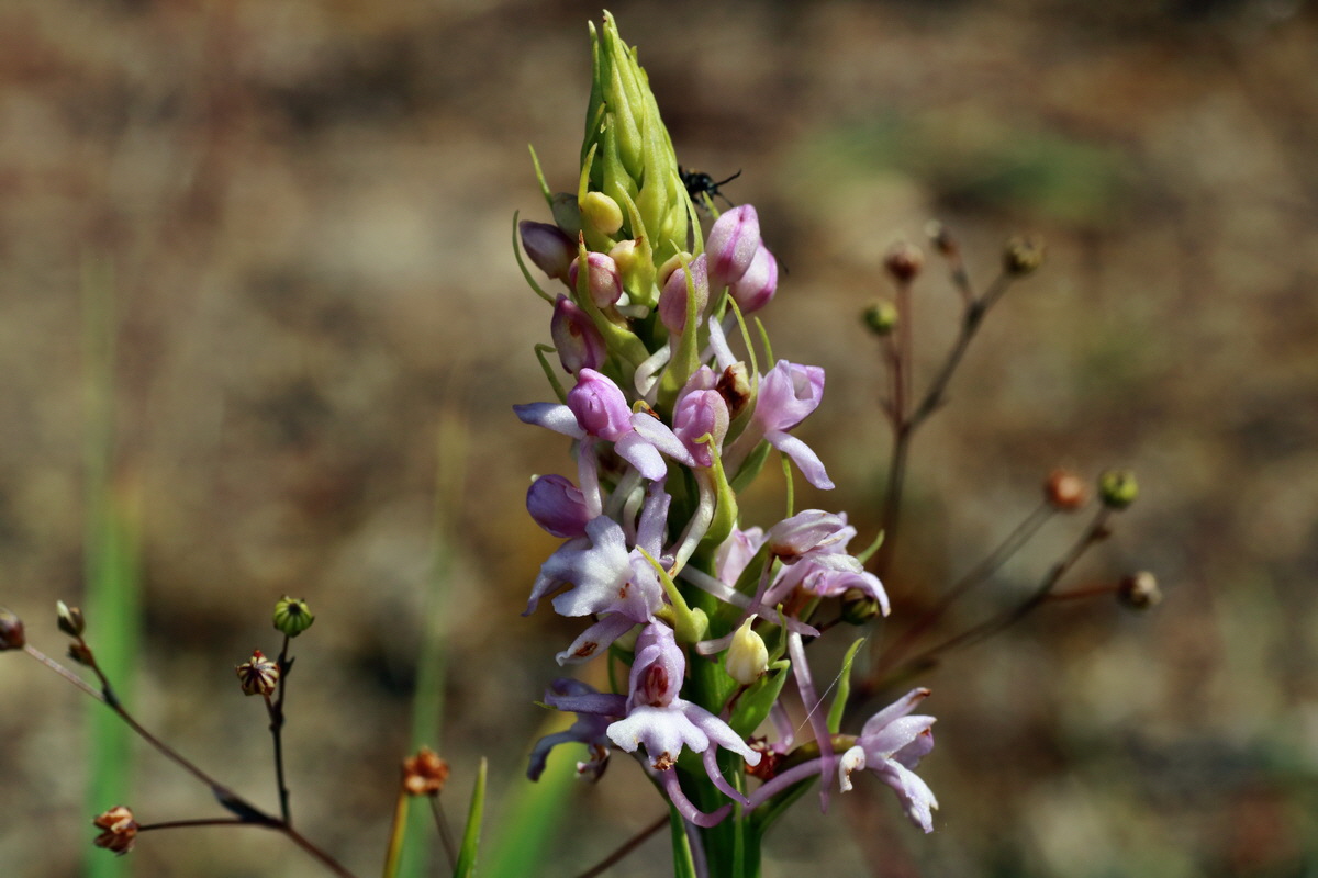 IMG-2015-06-29-00006159p_Bildgr��e �ndern