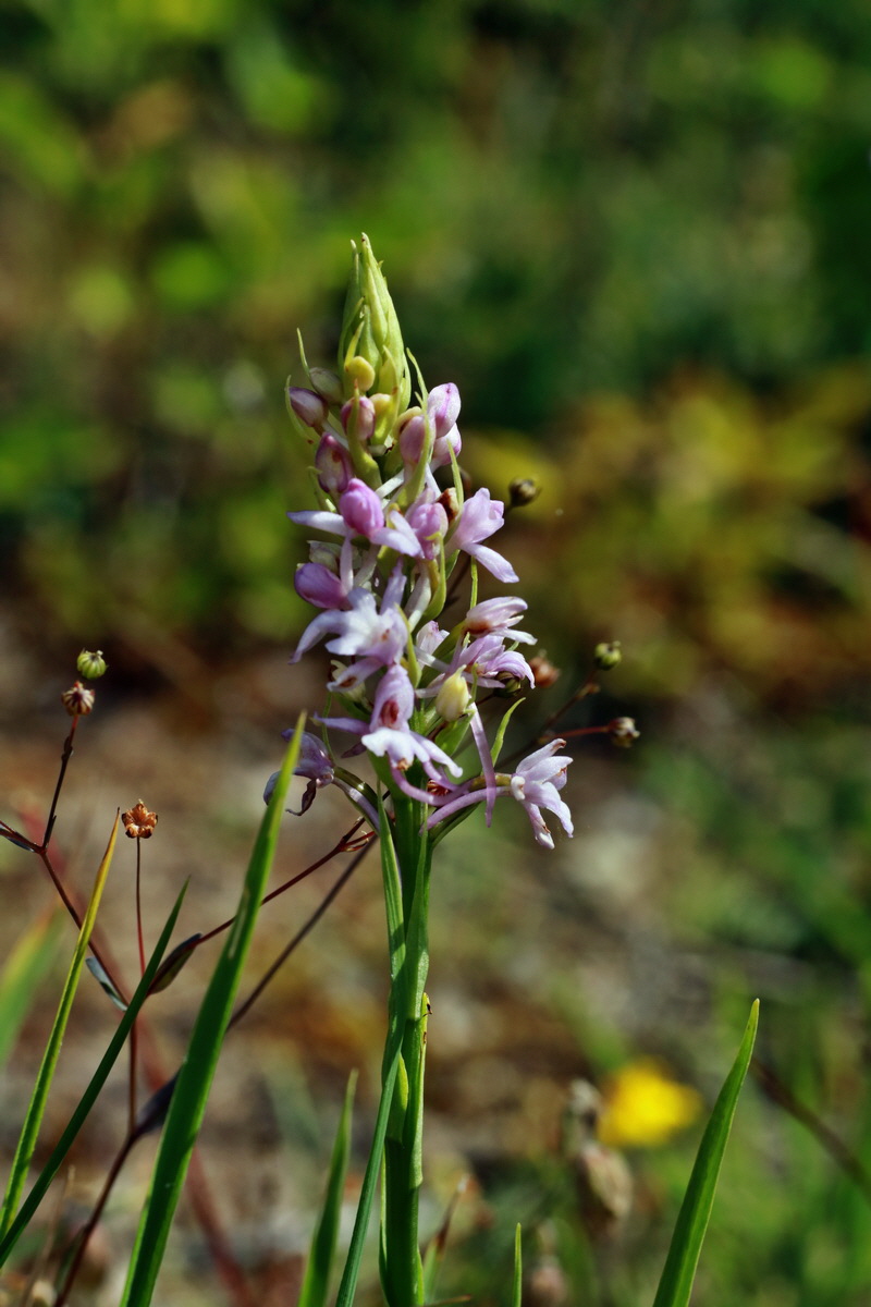 IMG-2015-06-29-00006164p_Bildgr��e �ndern